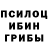 Псилоцибиновые грибы Psilocybe Abdullox Challenge