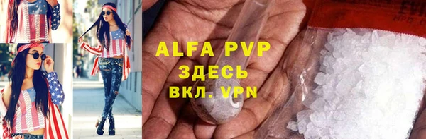 дурь Пересвет